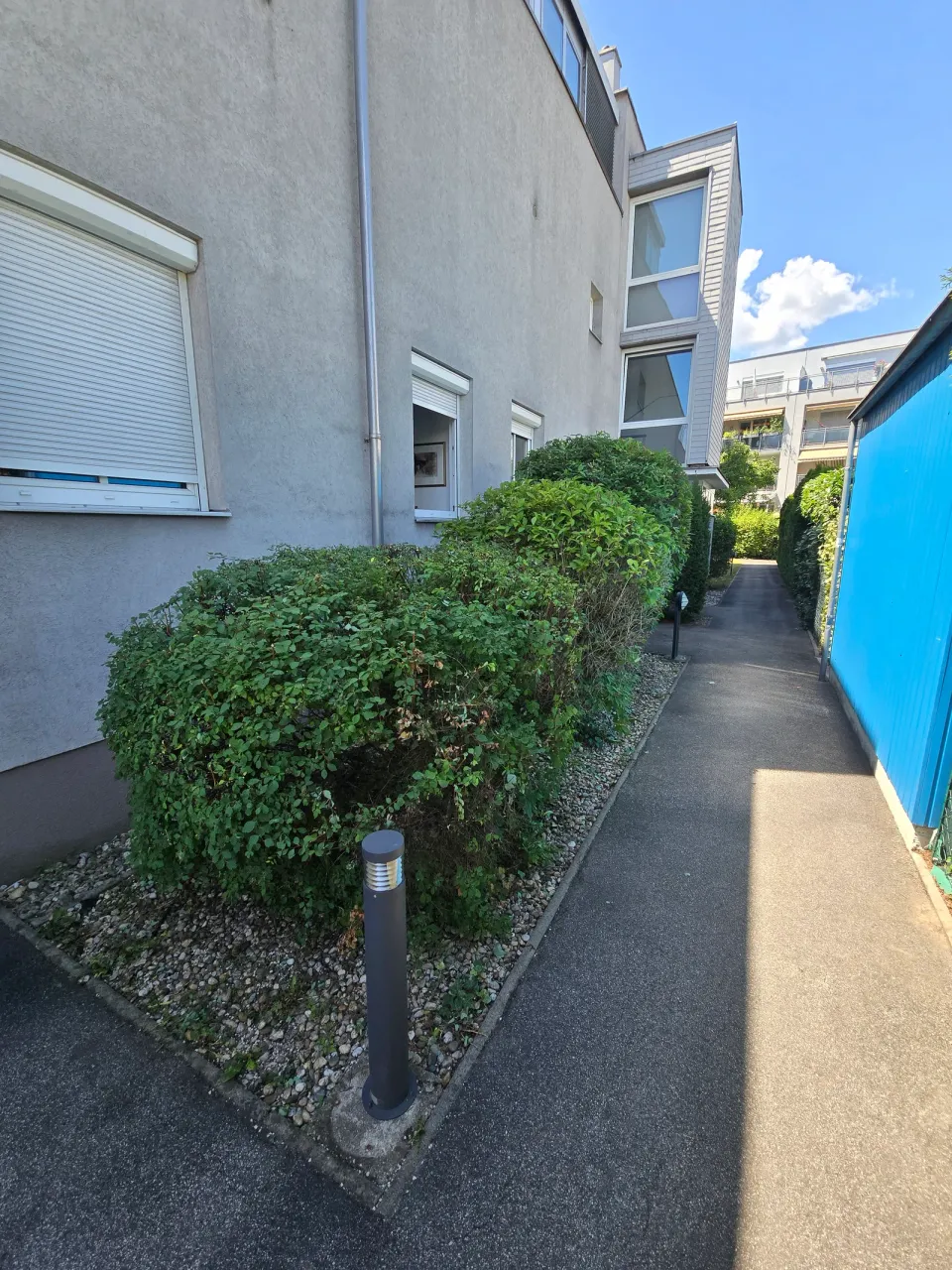 Zurückgeschnittene Hecke am Wohnhaus