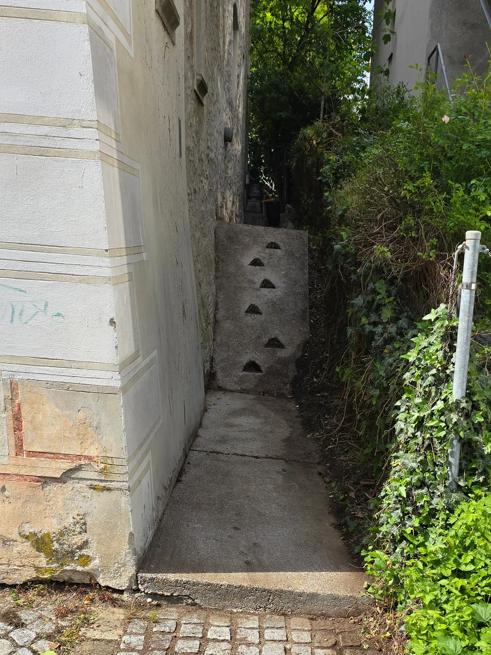 Zugang von der Straße nach dem Rückschnitt