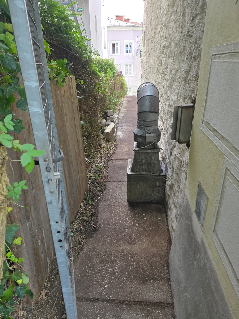 Freigeschnittener Durchgang am Haus nach der Grünpflege