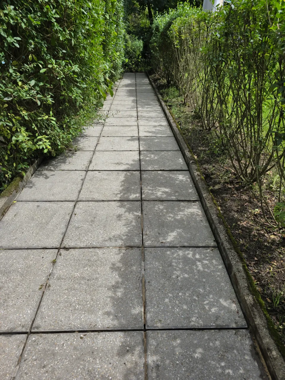 Pflasterweg nach der Pflege