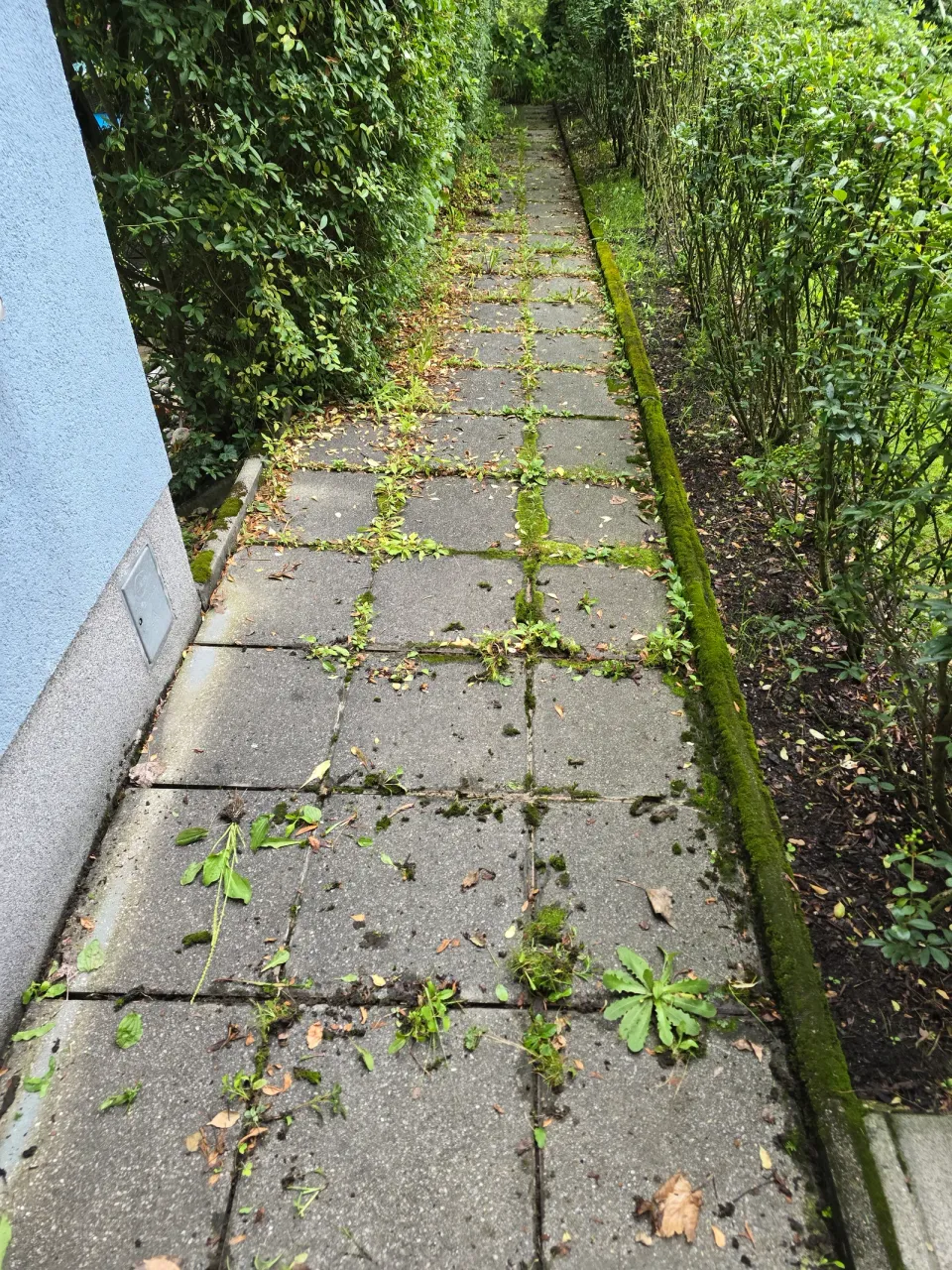 Pflasterweg vor der Pflege